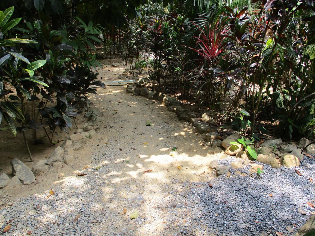 Khaosok Island Resort Khao Sok National Park Экстерьер фото