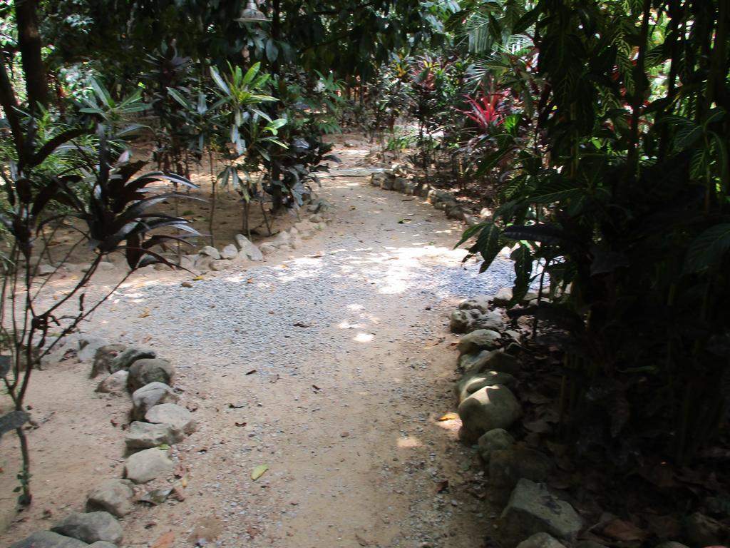 Khaosok Island Resort Khao Sok National Park Экстерьер фото