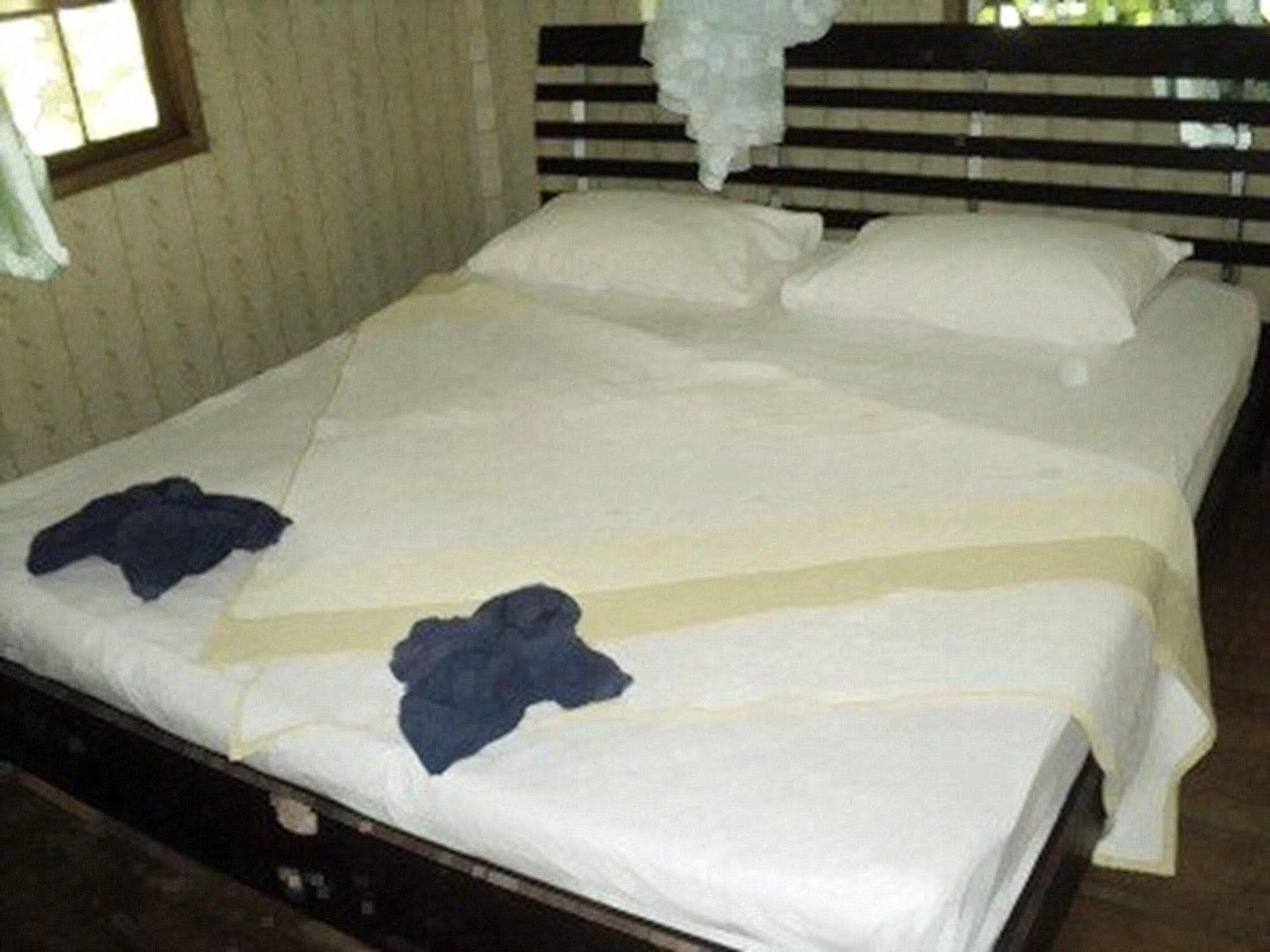 Khaosok Island Resort Khao Sok National Park Экстерьер фото